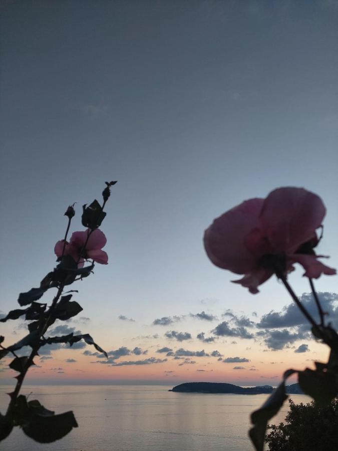 Nika Apartman Dubrovnik